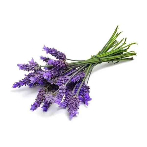Óleo Essencial de Lavanda Francesa