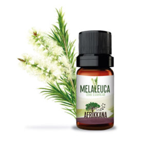 Óleo Essencial de Melaleuca (Tea Tree)